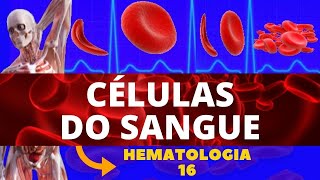 CÉLULAS DO SANGUE E SUAS FUNÇÕES COMPOSIÇÃO SANGUÍNEA  HEMATOLOGIA [upl. by Hawk]