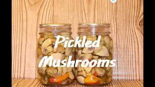 PICKLED MUSHROOMS [upl. by Notle780]