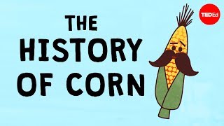 The history of the world according to corn  Chris A Kniesly [upl. by Aniat385]