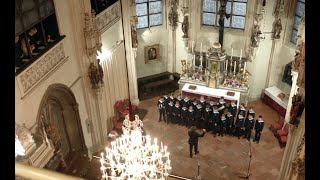 Vienna Boys Choir  Gaudete [upl. by Philina]