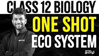 ONE SHOT Class12  Ecosystem  Xylem NEET Tamil [upl. by Kahle]