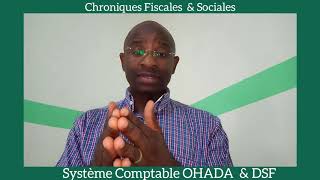 Système Comptable OHADA et DSF Correspondant [upl. by Thacher]