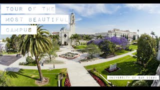 UCSD Campus Walking Tour  San Diego CA 4k 🔊 Binaural Sound [upl. by Tsnre]