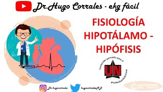 Fisiología del eje HIPOTÁLAMOHIPÓFISIS [upl. by Cathleen]