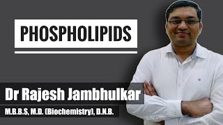 Phospholipids [upl. by Alyhs]