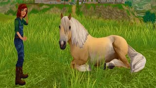 Help The Hurt Lost Horse  Star Stable Online [upl. by Stamata]