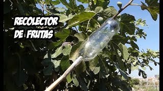 Como Hacer un Recolector de Frutas  Experimentos [upl. by Aramenta235]