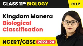 Kingdom Monera  Biological Classification  Class 11 Biology Chapter 2  NCERTCBSE [upl. by Oivat717]