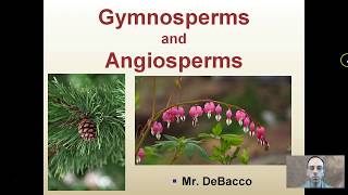 Gymnosperms and Angiosperms [upl. by Arley]