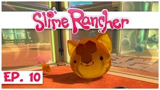 Slime Rancher  All Vault Locations 400 Gold Plorts [upl. by Warrenne]