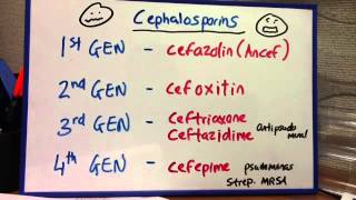 Cephalosporins  four generations [upl. by Eseerehc239]