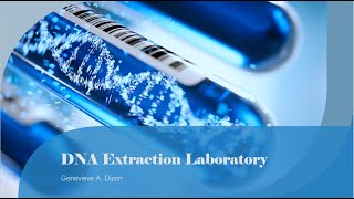 DNA Extraction Laboratory Methods [upl. by Ahsirtap242]