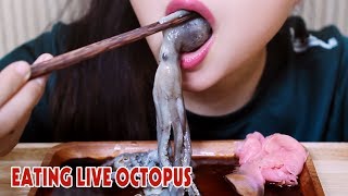 ASMR LIVE octopus challenge exotic food eating sound part 2LINHASMR [upl. by Bogoch]