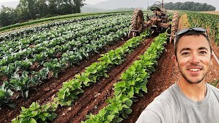 Pennsylvania Vegetable Farming [upl. by Gautier741]