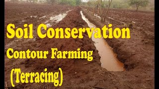 Soil Conservation 101  Contour Farming and Terracing Intro [upl. by Kcirdneh956]