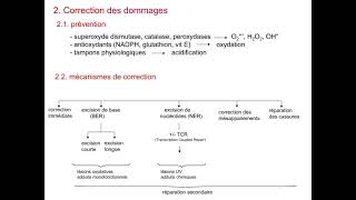 Maintenance et variations du matériel génétique [upl. by Lynsey]