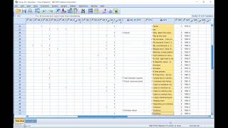 Qualitative Data Analysis [upl. by Arahset]