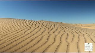 Park Pick Monahans Sandhills State Park [upl. by Nohsad]