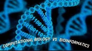 COMPUTATIONAL BIOLOGY VS BIOINFORMATICS [upl. by Mccafferty270]