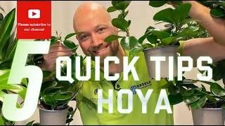 5 Quick tips Hoya [upl. by Odnanreh]