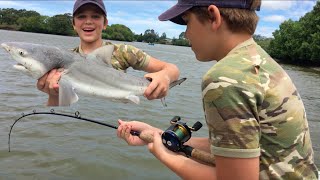 Shark Fishing Logan River  Stabbed By Worlds DEADLIEST Fish [upl. by Hajidak767]