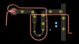 MECHANISM OF CONCENTRATION OF THE FILTER [upl. by Swanhildas615]