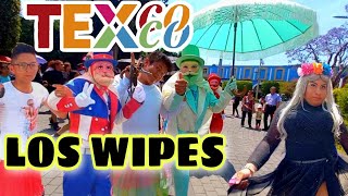 CARNAVAL TEXCOCOLOS WIPES [upl. by Asiluy]