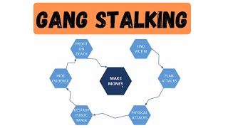 How the System Works  GANG STALKING  Targeted Individuals  Electronic Harassment [upl. by Anirac891]