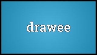 Drawee Meaning [upl. by Eelyram]