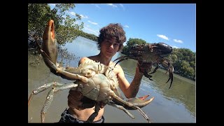 EP 3  HUGE MUDCRABS Caught BAREHANDED  Catch n Cook  With BUTTER LEMON Sauce  TDK [upl. by Atidnan]