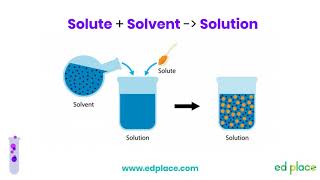 Year 7 Science Lesson Solute Solvent Solution  EdPlace [upl. by Jentoft]