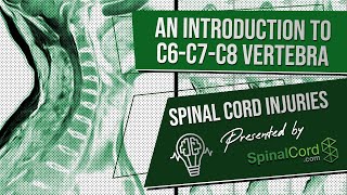 C6 C7 C8 Definitions Cervical Spinal Cord Injury Symptoms Causes Treatments and Recovery [upl. by Auhsuj]