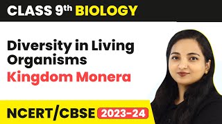 Kingdom Monera  Diversity in Living Organisms  Class 9 Biology  202324 [upl. by Laleb]