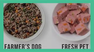 Freshpet Dog Food Review Are There Better Options [upl. by Einiar]