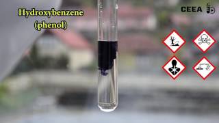 THE FERRIC CHLORIDE TEST FOR PHENOLS [upl. by Fem836]