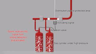 FM 200 Fire Suppression system [upl. by Padegs]