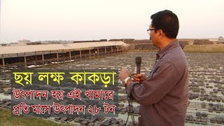 ৬ লক্ষ কাঁকড়ার খামার। Crab farm [upl. by Junia728]