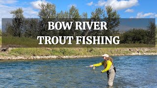 Incredible Bow River Trout Fishing [upl. by Rosalee876]