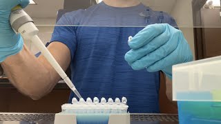 DNA Extraction from Fungal Plate [upl. by Cariotta]