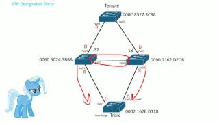 STP Designated ports [upl. by Torrence710]