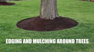 EDGING and MULCHING around TREES  How to get a CLEAN LOOK [upl. by Rubie83]