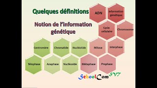 Quelques définitions  Notion de l’information génétique [upl. by Dahij]