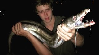 EP 2  MONSTER EEL FISHING  Catch n Cook  Using Freshly Caught MULLET  TDK [upl. by Animaj986]