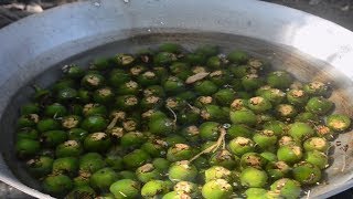 Kaong Fruit Arenga Palm tree  Harvesting and Cooking [upl. by Haianeb]