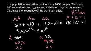 How to calculate allele frequency [upl. by Reuven]