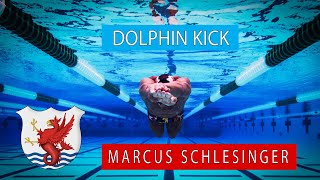 Underwater Dolphin Kick Technique with Olympic Swimmer Marcus Schlesinger [upl. by Zoarah]