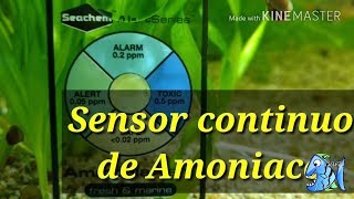 Sensor continuo de Amoniaco [upl. by Nylcsoj103]