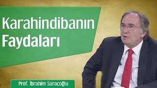 Karahindibanın Mucizevi Faydaları  Prof İbrahim Saraçoğlu [upl. by Inalan]