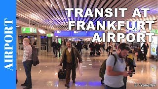 TRANSIT WALK AT FRANKFURT Airport FRA Terminal 1  Connection Flight Transfer Arriving amp Departing [upl. by Nich]