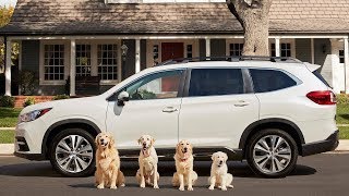 Subaru Ascent Brings Back The Barkleys Dog Family Commercials [upl. by Gans]